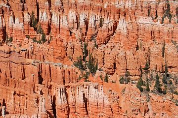 Bryce Canyon van Antwan Janssen