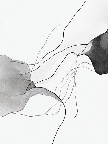 Lignes et formes fluides en noir et blanc