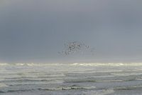 storm at sea