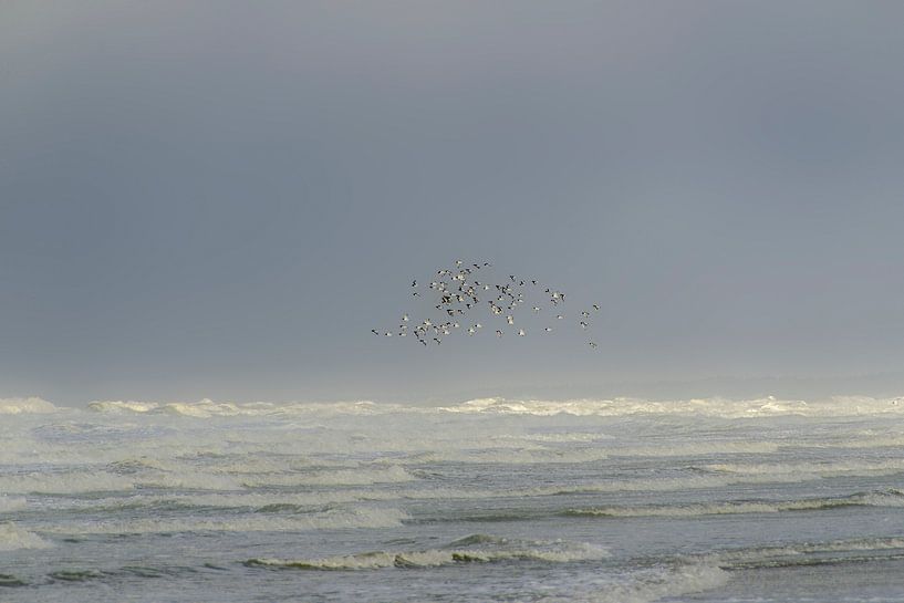 tempête en mer par Ghislain Decoster