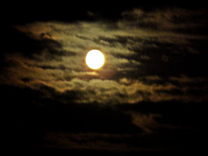 Maanzicht  von Viktor  Tovenaar