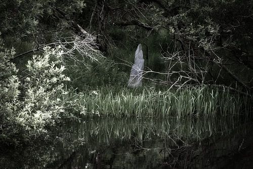 Haunted forest