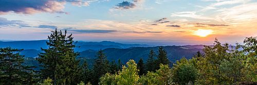 Panorama vanaf de Schliffkopf in het Zwarte Woud