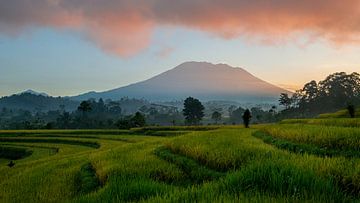 Sonnenaufgang über dem Vulkan Gunung Agung bei Sidemen
