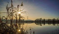 Sunlight reflection