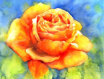 De geur van een roos Aquarel schilderij van Karen Kaspar