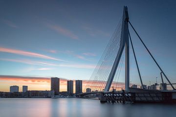 Erasmusbrug Rotterdam van Dion van den Boom