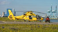 Airbus Helicopters AS365N3 Dauphin 2. van Jaap van den Berg thumbnail