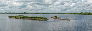 Panorama der Molenplas bei Stevensweert
