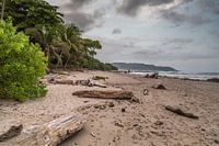 plage déserte