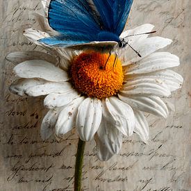 At Dawn van Harry Hadders Design