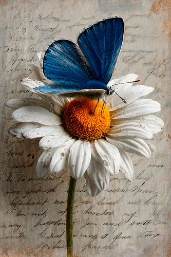 At Dawn van Harry Hadders Design