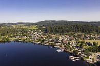 Aerial view Titisee in Black Forest by Werner Dieterich thumbnail