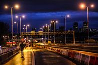 Flaneren over de A 13 | Rotterdam | 16-4-2016 van Shui Fan thumbnail