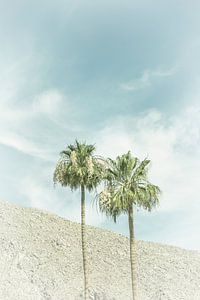 Palm Trees in the desert | Vintage by Melanie Viola