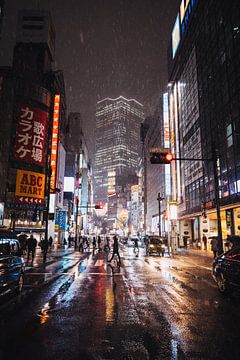 De Neonverlichte Nachten van Tokyo: Een Lichtspektakel van Ken Tempelers