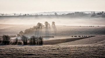 Remersdaal sur Rob Boon