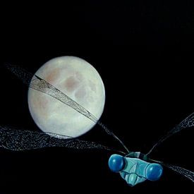 DRAGONFLY WITH MOON by René Lenting