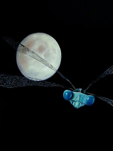 DRAGONFLY WITH MOON by René Lenting