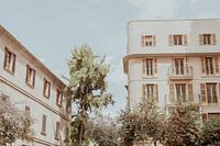 Street photography of Palma de Mallorca on a summer day