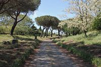 Via Appia Antica