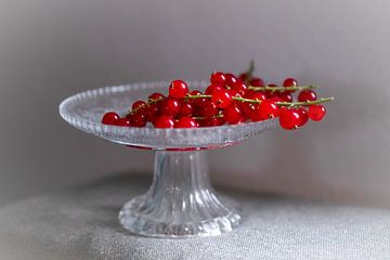 roter Schmuck von Karin van Bylevelt