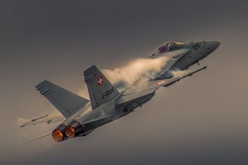 The Swiss Superhornet