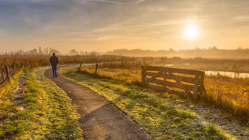 Walking track in misty agricultural polder landscape with pedestrian in distance near Groningen, Net