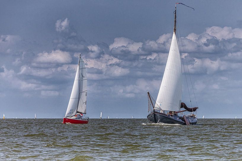 Zeilboten op het Markermeer voor de kust van Marken. van ingrid schot