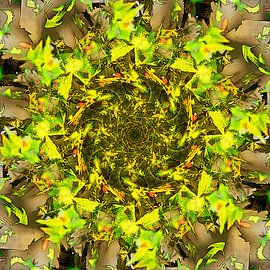 Plane Tree Vortex sur Frans Blok - des photos, de l'art et des autres décorations murales