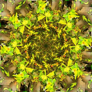 Plane Tree Vortex