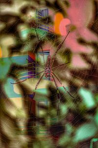 Farben