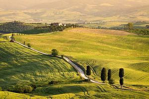 Cipressen langs 'Gladiator Road strada bianca' in Toscane in de avondzon van iPics Photography