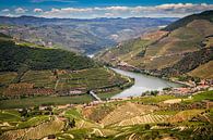 Douro rivier van Antwan Janssen thumbnail