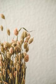 Dispositif de séchage