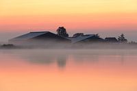 Ein Bauernhof, halb versteckt in einer Decke aus Morgennebel.