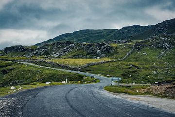 Schilderij kijken - De westkust van Ierland van Martin Diebel