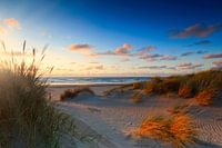 sunset behind the Dutch dunes