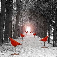 Way of Light