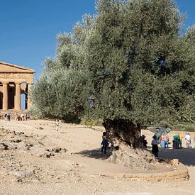 Tempel van Concordia, Vallei van de Tempels, Agrigento. van Wim van Gerven