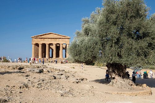 Concordia-Tempel, Tal der Tempel, Agrigent. von Wim van Gerven