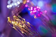 Dreamy light motion in a colorful, imaginative atmosphere by Tony Vingerhoets thumbnail