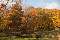 Herfst in Oostkapelle bij kasteel Westhove