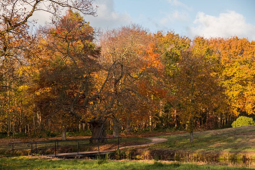 Herfst in Oostkapelle bij kasteel Westhove van Mario Lere