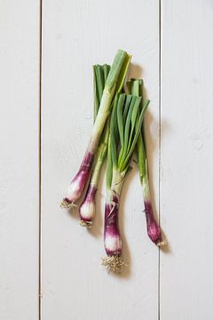 Spring onion by Sharona Sprong