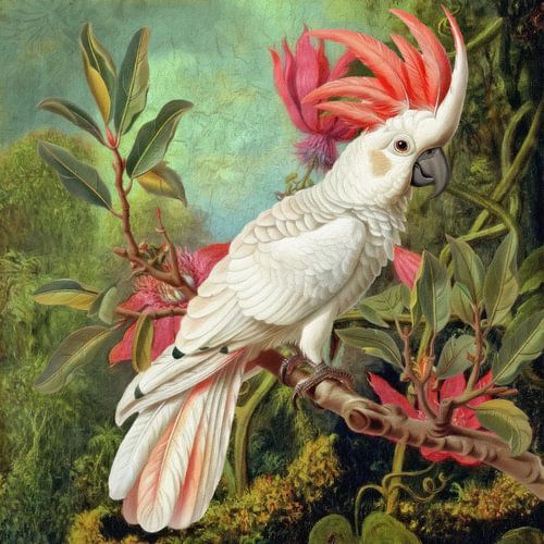 Bird in Paradise by Marja van den Hurk