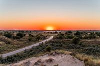 Amsterdamse waterleidingduinen met zonsondergang (0157)