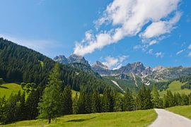Bischofsmütze Mountain Peak by Andreas Kilian