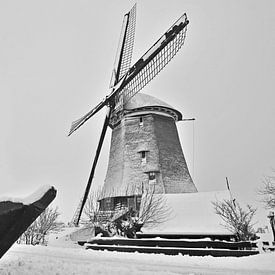 Les cygnes autour du moulin sur Anjo Kan