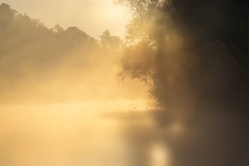 Magical sunrise in the Biesbosch by Milou Hinssen